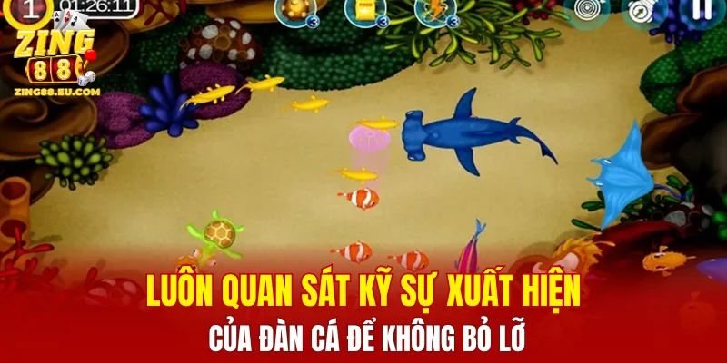 Luôn quan sát kỹ sự xuất hiện của đàn cá để không bỏ lỡ